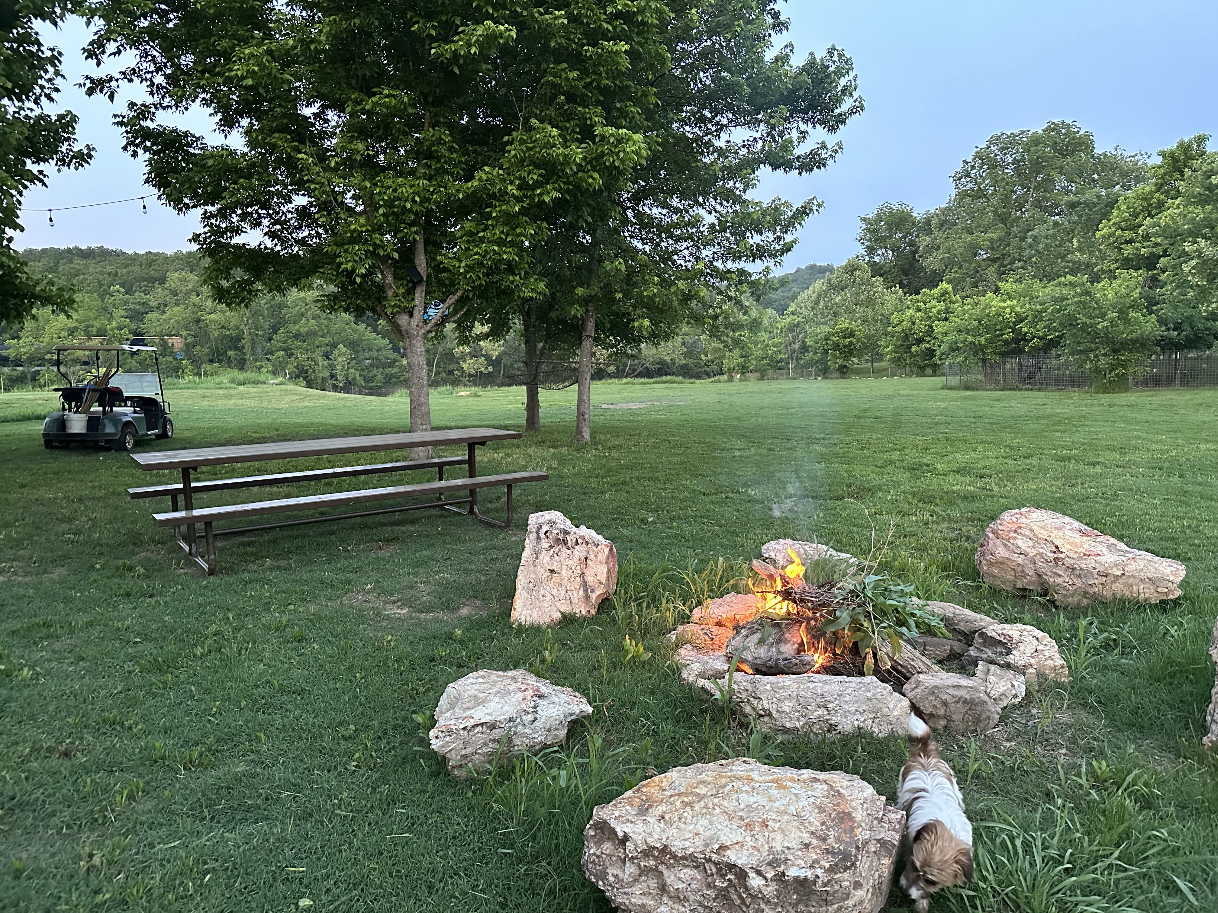 Spring River riverside campsite